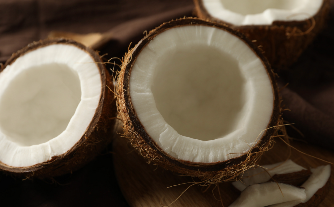 The Nutritional Power of Coconut Water and Coconut Milk